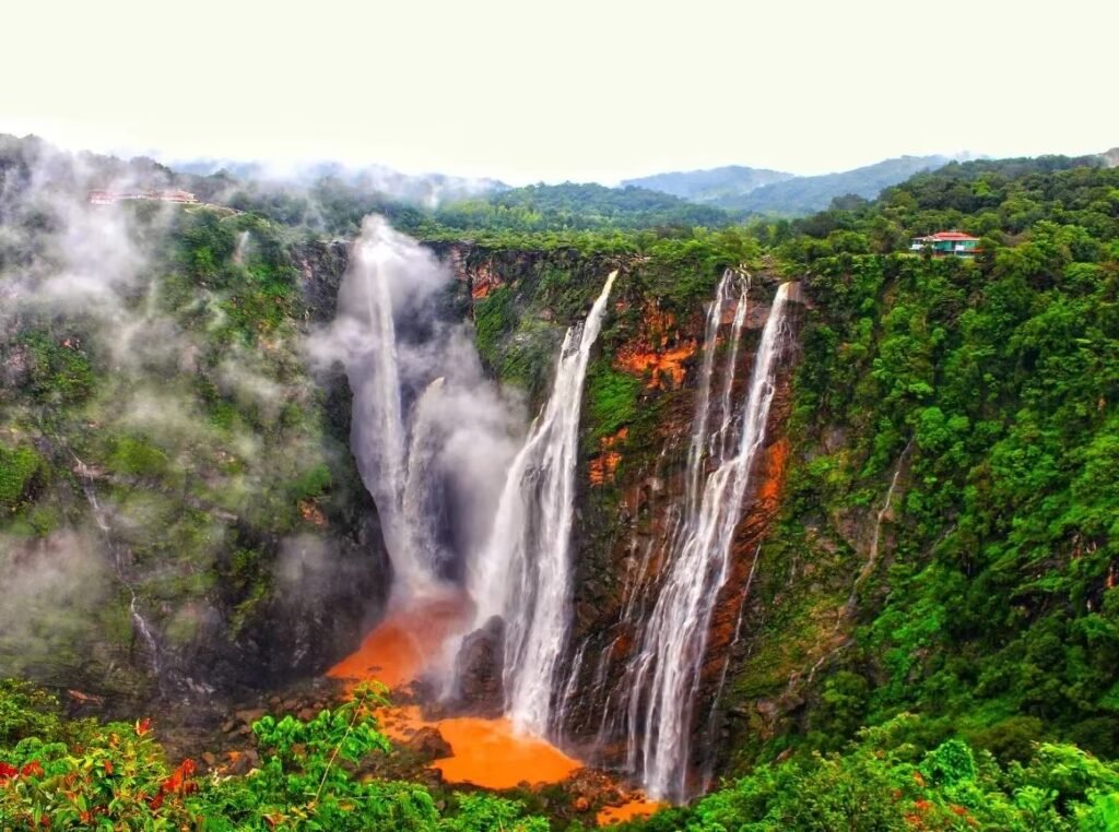 Jog Falls in the middle of a forest