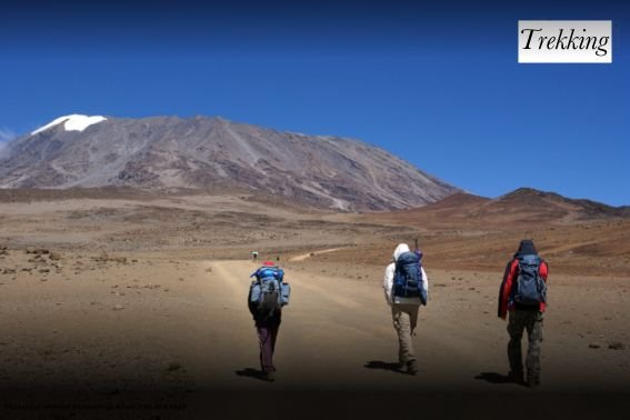 tips for Climbing Mount Kilimanjaro